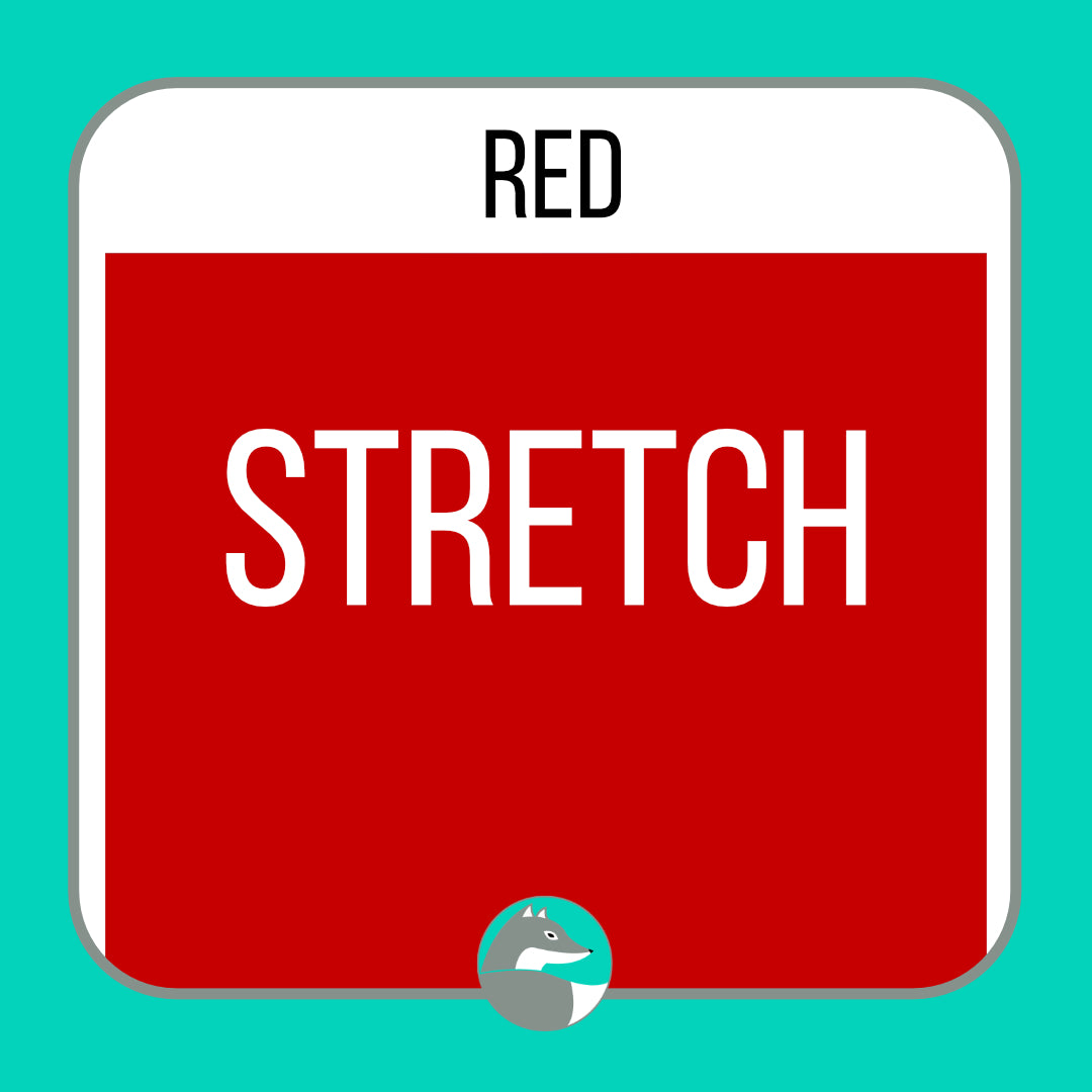 Siser EasyWeed® Stretch - Silver Fox Vinyl